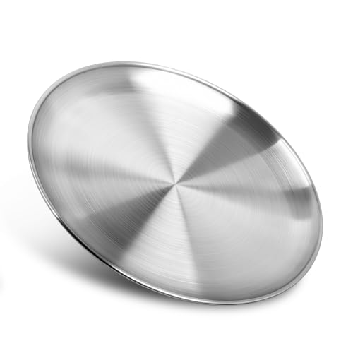 10-Inch Stainless Steel Dinner Plate - Reusable & Dishwasher Safe