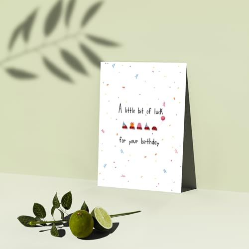 Cute Ladybug Birthday Card with Envelope for Friends and Family