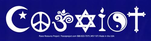 Coexist Large Bumper Sticker - 9.13x2.5 Inch Vinyl Decal