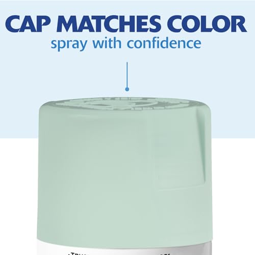 Rust-Oleum Painter's Touch 2X Ultra Cover Spray Paint, Satin Finish, 6 Pack