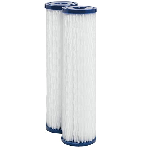 GE FXWPC Whole House Water Filter - Pack of 2, NSF Certified