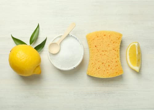 Pure Original Ingredients Citric Acid 2Lb Food Preservative & Cleaner - Pack of 1 (32 Oz)