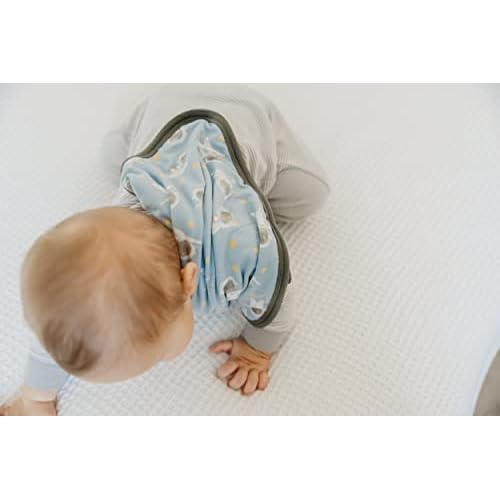 Copper Pearl Baby Security Blanket Set of 2 - Portable Size for Self-Soothing On-The-Go, Ideal Baby Blankets for Boys and Girls, Ultra-Soft, and Gift-Ready Loveys - Neil
