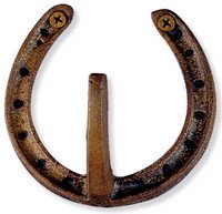 Cast Iron Horseshoe Hook - Rustic Home & Garden Accessory