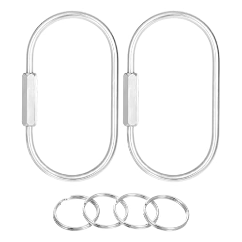 6Pcs Gold Brass Key Rings Screw Lock Key Organizer Metal Carabiner Keychain Clip Making Kit Flat O Split Ring Hooks for Keychains Purse Bag Charms for Handbags (silver)