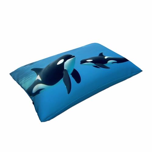 Mugod Blue Ocean Whale Throw Pillow Cover 20x30 Inches