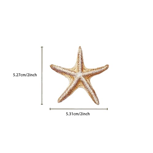 50 Pcs Marine Life Stickers Waterproof Sea Animal Decals for Water Bottles