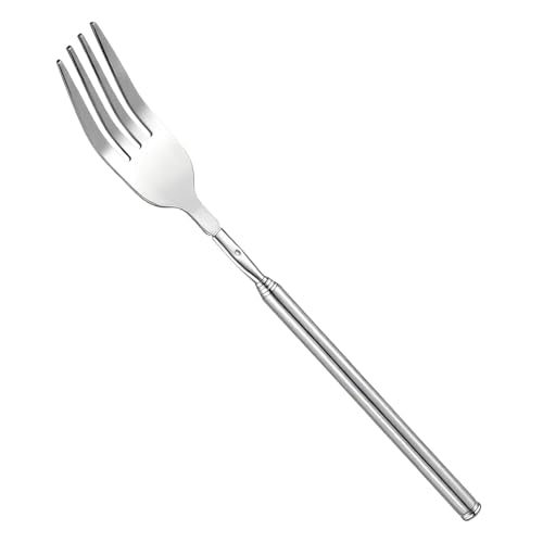 Stainless Steel Extendable Fork - Adjustable 8.7 to 25.6 Inch