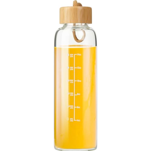 Doseno 17oz Borosilicate Glass Water Bottle with Time Marker & Carrying Strap