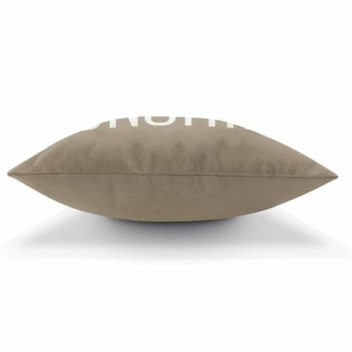 AOYEGO Multi-a294 You Are My Sunshine Throw Pillow Cover 18x18 Inch Inspirational Quote Cushion Case for Home Decor