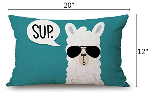 Funny Llama Lumbar Throw Pillow Cover 12x20 Inch - Decorative Cushion Case