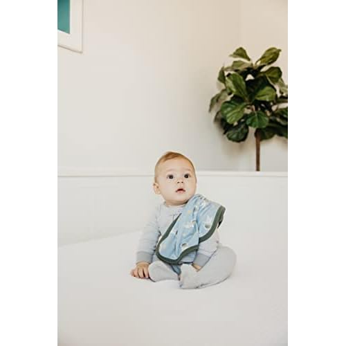 Copper Pearl Baby Security Blanket Set of 2 - Portable Size for Self-Soothing On-The-Go, Ideal Baby Blankets for Boys and Girls, Ultra-Soft, and Gift-Ready Loveys - Neil