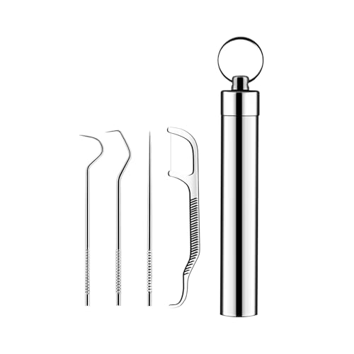 Stainless Steel Toothpick Holder Dispenser - Modern Design