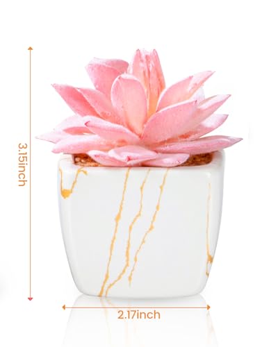 Taybonds Artificial Succulent in Elegant White Ceramic Pot - 2PCS