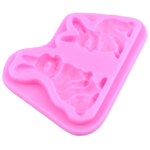 Easter Rabbit Silicone Fondant Mold for Cake & Candy Decoration