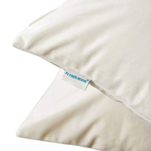 Pack of 2 White Velvet Throw Pillow Covers 18x18 Inch for Sofa