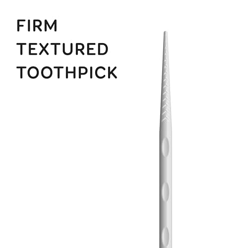 Grin Charcoal Infused Dental Picks 90 Count with Refillable Case