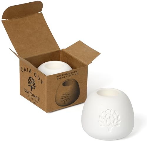 Gaia Guy Diatomaceous Earth Toothbrush Holder - Quick-Dry Stone Organizer