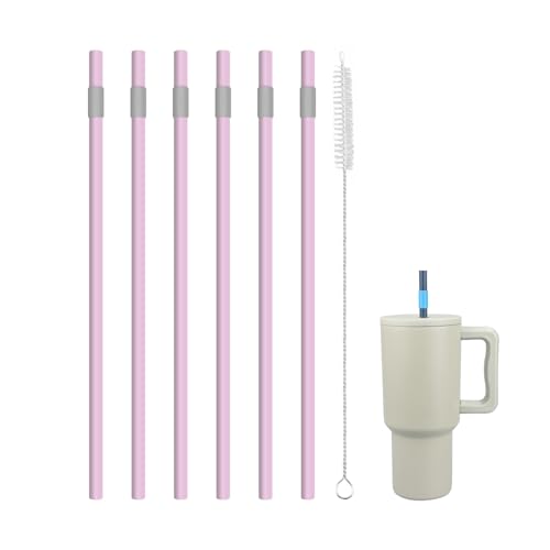 Replacement Straws for Simple Modern 30oz Tumbler - Pack of 6