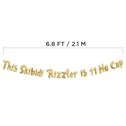 Skibidi Rizzler Gold Glitter 11th Birthday Banner - Pre-Strung Party Decor