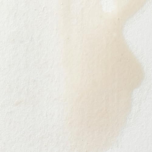 Winsor & Newton Professional Watercolor Half Pan - Chinese White