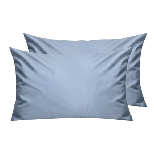 Lirex Queen Pillow Cases Set of 2, Light Gray Blue, 300 Thread Count
