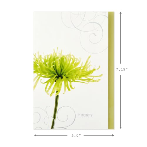 Hallmark Sympathy Cards Boxed Set - 12 Floral Designs with Envelopes