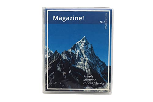 ASVP Shop Vinyl Magazine and Tract Organizer Holder