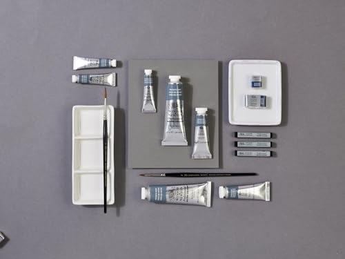 Winsor & Newton Professional Watercolor Paint, 37ml Tube, Payne’s Gray