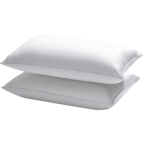 Queen Waterproof Pillow Protectors 20x28 Inches - 4 Pack with Zipper