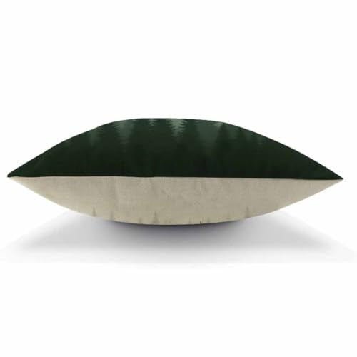 Pine Forest Throw Pillow Cover, Misty Nature Landscape Cushion Case 18x18