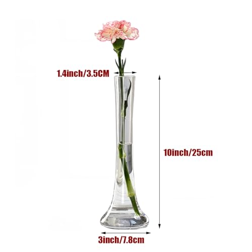 Transparent Clear Glass Bud Vase - 9.8 Inch Tall Round Bottom