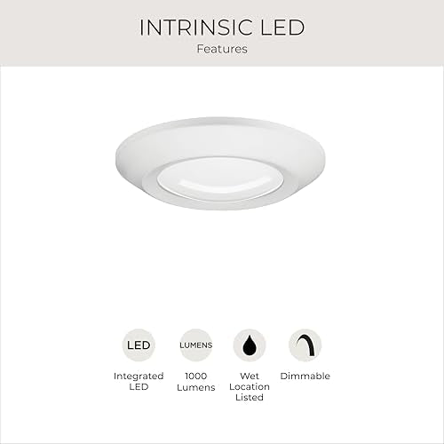 Progress Lighting Intrinsic 5.5" LED Surface Mount Light, White