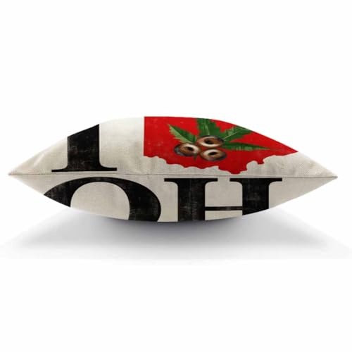 Ohio State Throw Pillow Cover 18x18 Vintage Buckeye Nut - Multi-a193