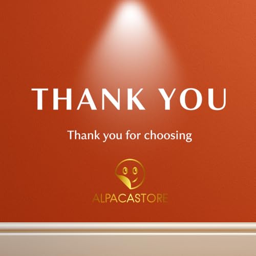 3D Raccoon Wall Decal - 5 Inch Vinyl Sticker for Retro Decor