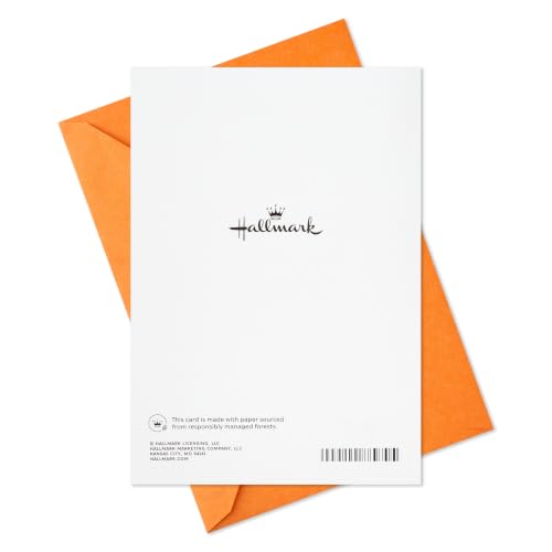 Hallmark Birthday Card for Son - Love You a Million Times Design