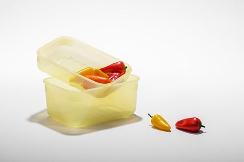 LocknLock Fresh-Block Produce Storage Container, 3.2L - BPA Free