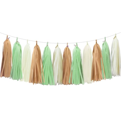 Aonor Gold Ivory and Pale Green Tissue Paper Tassel Garland 15PCS