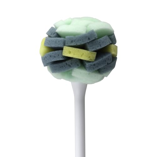 Casabella Long Handle Kitchen Sponge Dish Brush with Loop