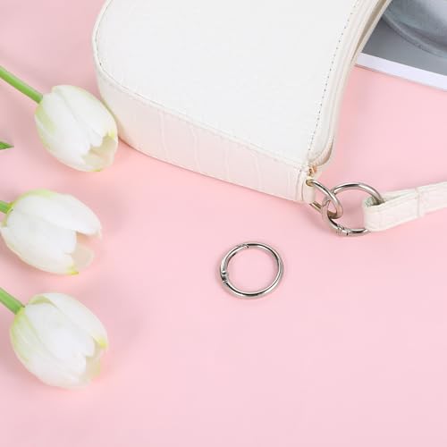 20pcs 1 Inch Round Spring O Rings Round,Meta Carabiner Clip Snap,Alloy Purse Clip Keychain Ring for Keyrings Buckle,Bags,Purses