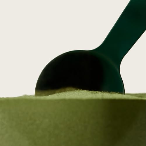 AG1 Premium Stainless Steel Measuring Scoop for Supplements