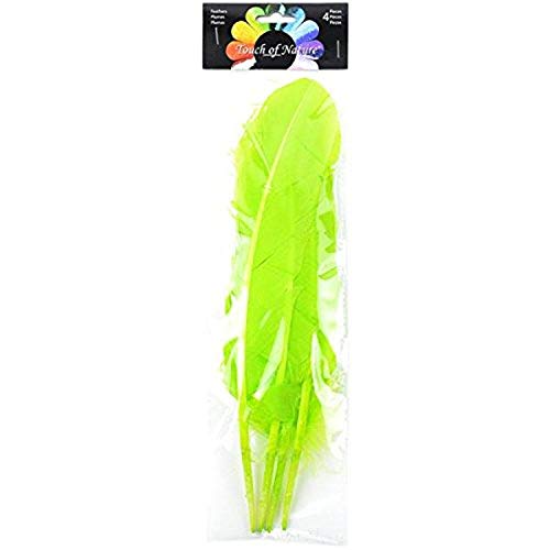 Touch of Nature Turkey Feathers 4-Piece Set, 12-13 Inch Vivid Lime