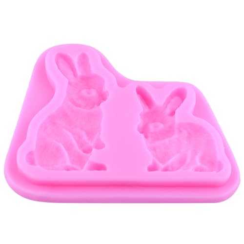 Easter Rabbit Silicone Fondant Mold for Cake & Candy Decoration