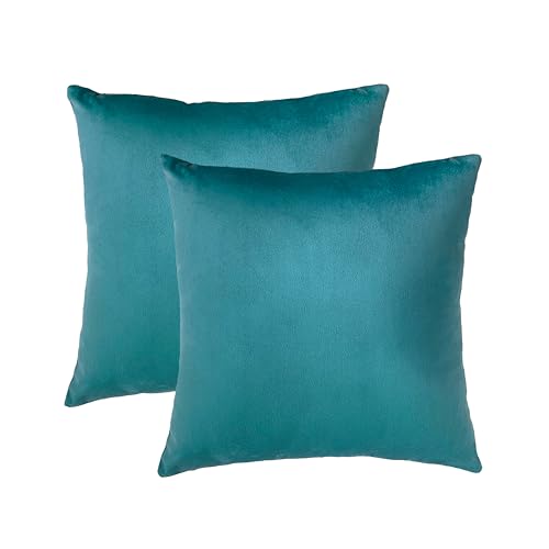 RELY+ 20x20 Inch Velvet Throw Pillow Covers, Teal - Set of 2