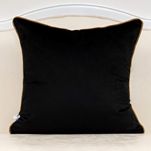 Alerfa 20x20 Inches Black Gold Striped Cushion Cover - Decorative Pillow Case for Couch & Bedroom