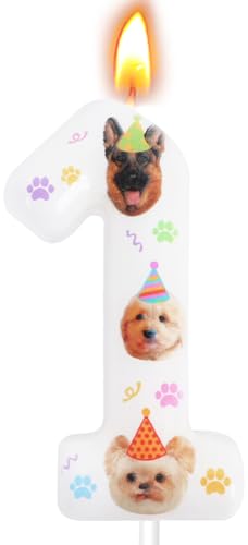 Candoll Dog Birthday Number 1 Candle - Brown Cake Topper Party Supply