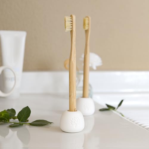 Gaia Guy Diatomaceous Earth Toothbrush Holder - Quick-Dry Stone Organizer