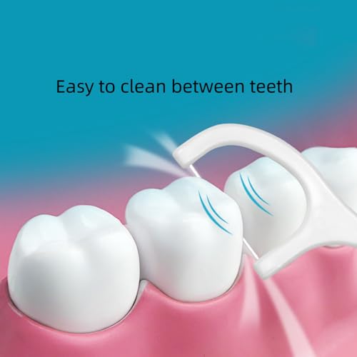 Individually Wrapped Dental Floss Picks 50 Count Portable Travel Flossers