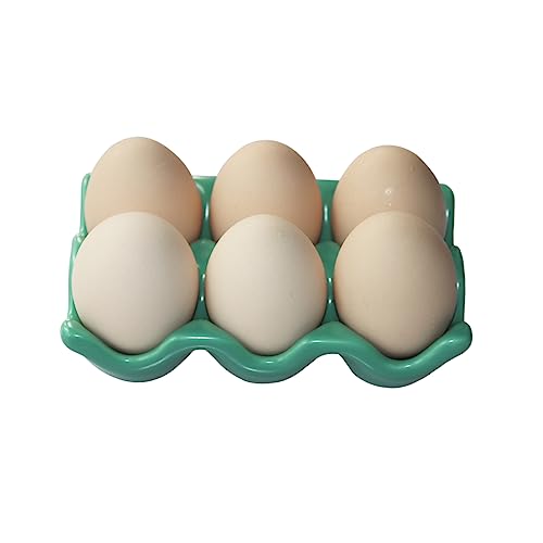 Bealuffe 6-Cup Ceramic Egg Holder Tray - Green Kitchen Storage Container
