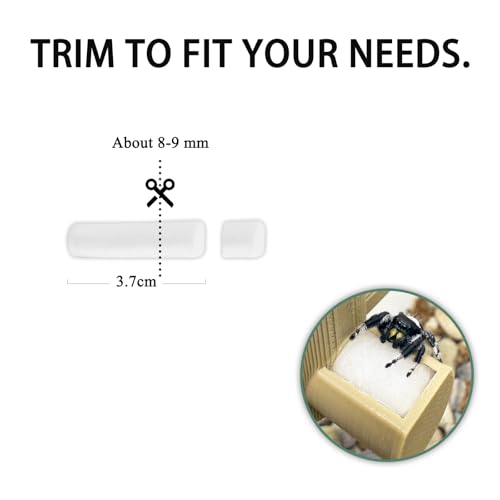 Jumping Spider Water Fountain Replacement Cotton Swabs 30 Pack
